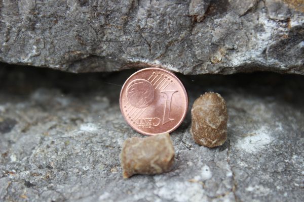 Soft-Mini`s Frischlamm, Obst u. Gemüse