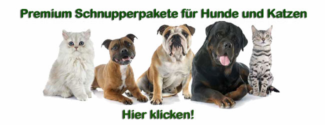 Schnupperangebote